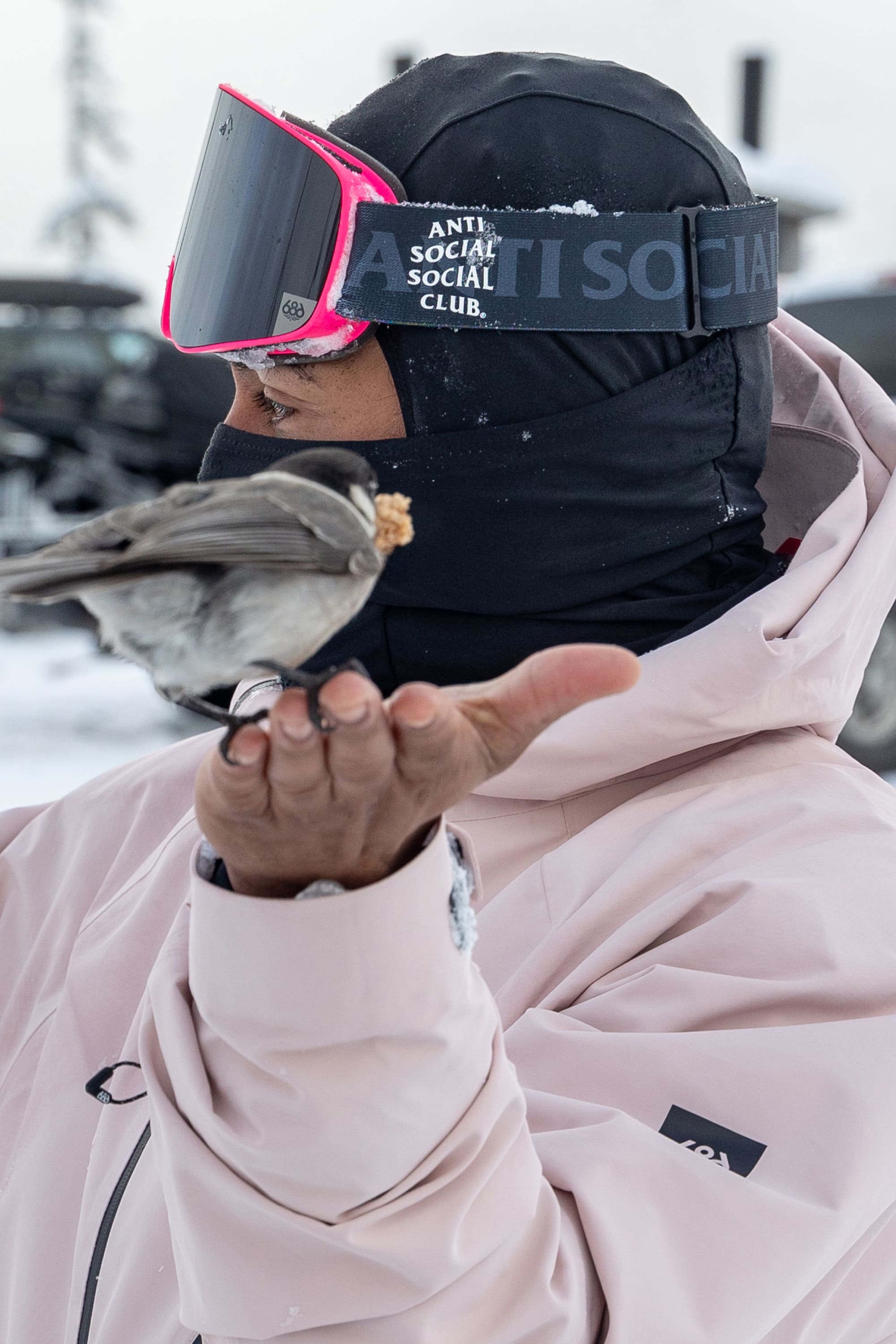 Wearing a pink jacket, black ski mask, and 686 SMARTY® Magnetic Goggles by 686, a person offers food to a small bird perched on their fingers in a snowy landscape.