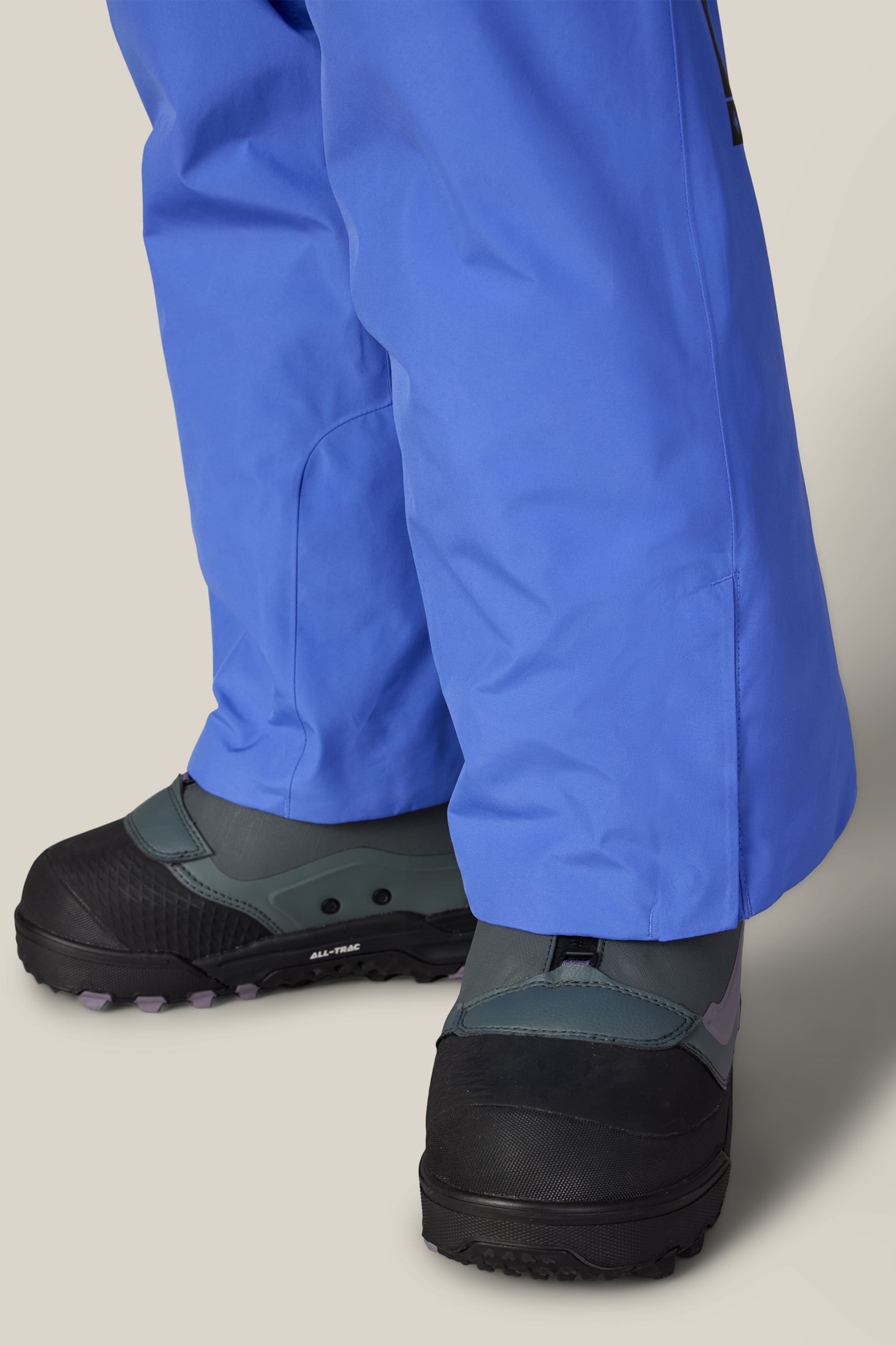 686 Women's GORE-TEX® Willow™ Insulated Pant – 686.com