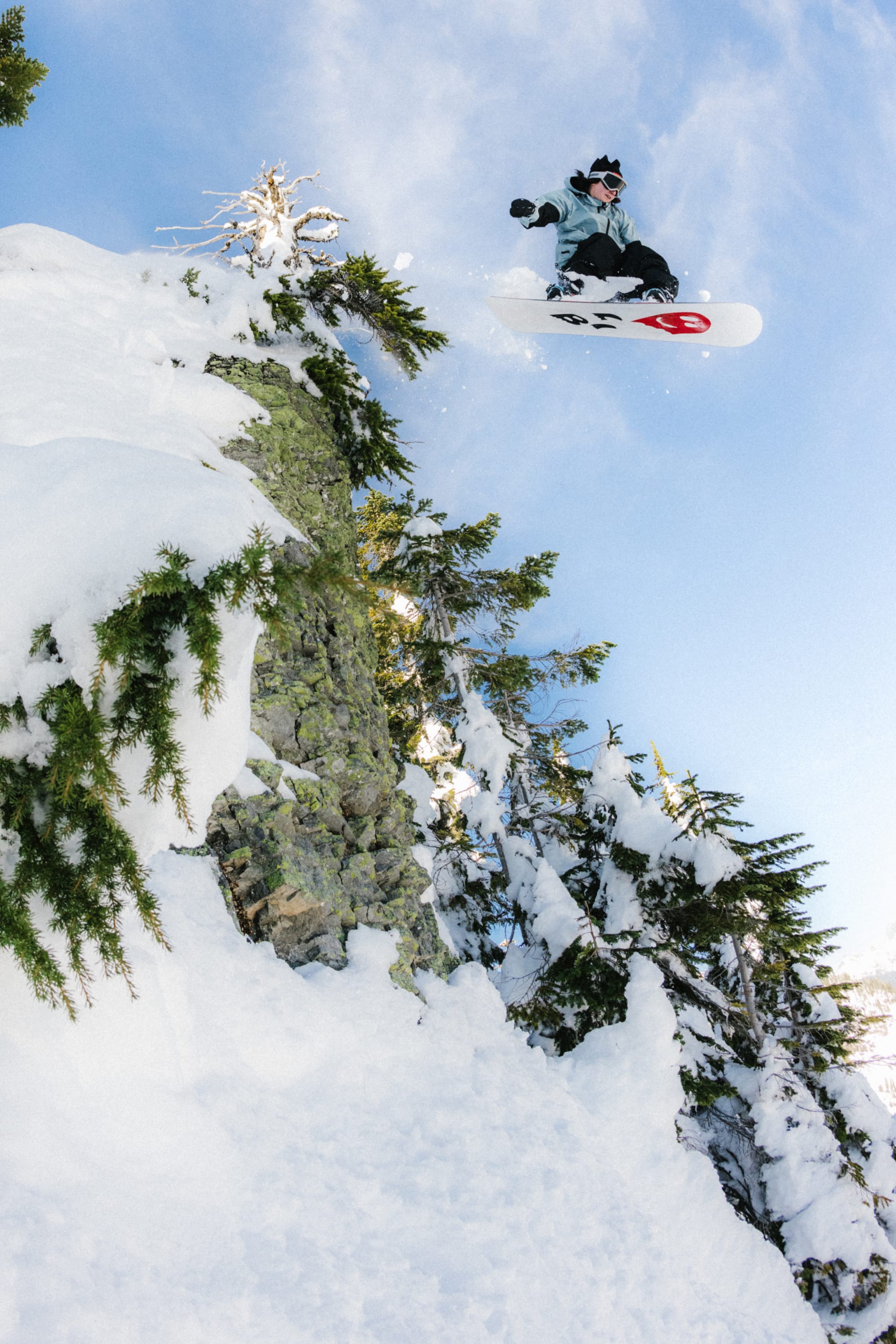 A snowboarder soars off a snowy, tree-lined cliff under a clear blue sky, kicking up snow in her 686 Women's Outline™ Shell Pant and goggles.