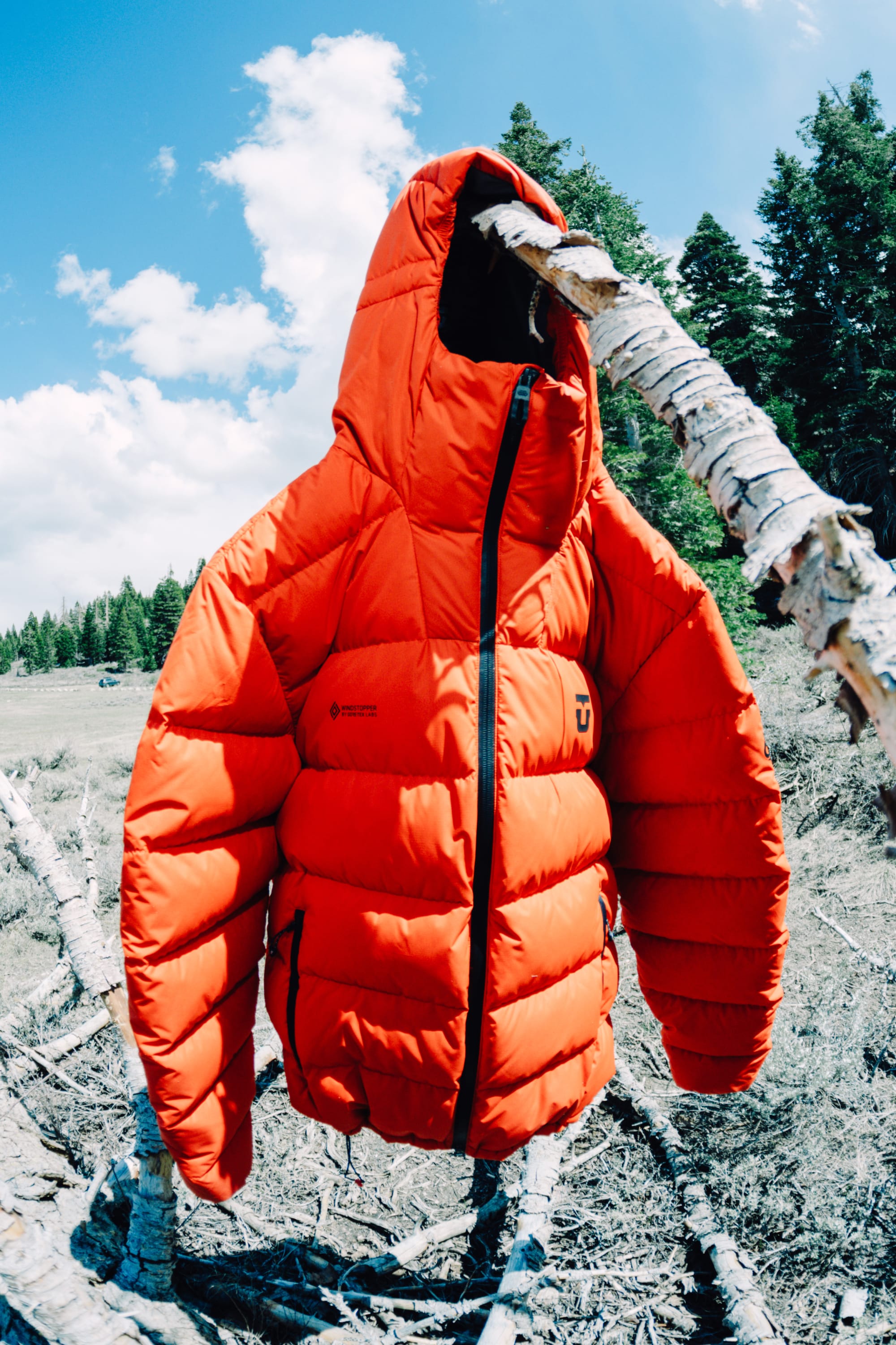 A 686 Men’s WINDSTOPPER® Union Down Puffer Jacket by GORE-TEX® LABS in vivid orange, featuring a hood and waterproof design, hangs on a tree branch outdoors against a backdrop of blue sky, clouds, green trees, and dry grass.