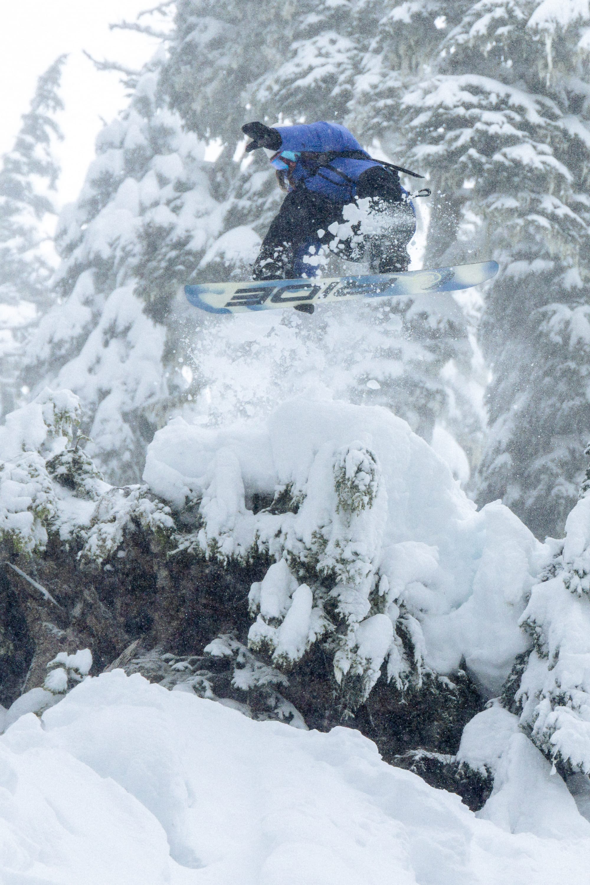 Wearing the 686 Women’s GORE-TEX® Scheme Thermagraph® Jacket, a snowboarder launches off a snow-covered ledge surrounded by snowy trees, sending up a spray of powder in a wintry mountain setting.